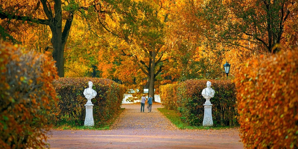 Фото: mos.ru